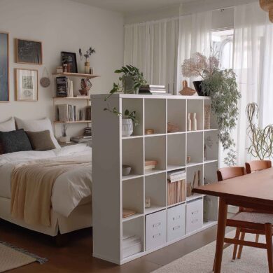Kleines Wohnzimmer mit Regal als Raumtrenner zwischen Bett und Esstisch